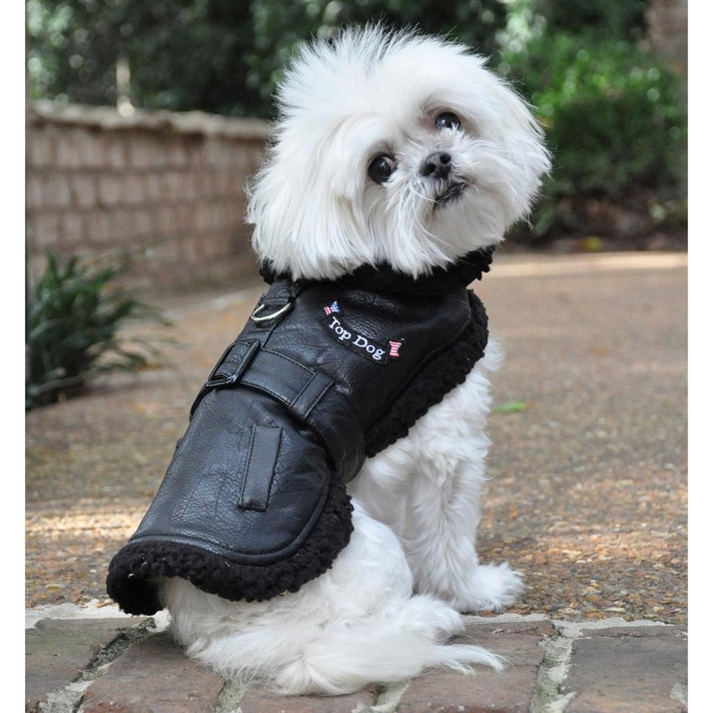 Doggie Design Black Top Dog Flight Coat